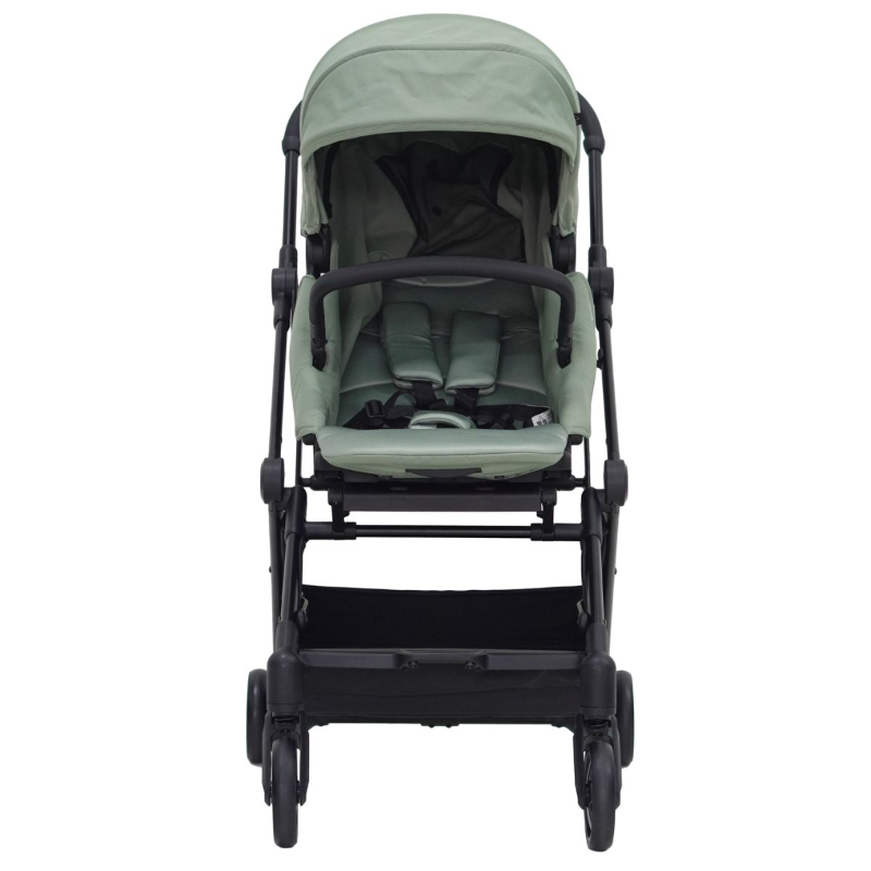 Mimosa Carousel Cruiser Stroller - Assorted Colours
